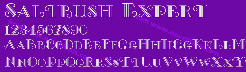 Saltbush ExpertPreview Saltbush ExpertPreview