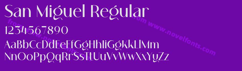 San Miguel RegularPreview San Miguel RegularPreview