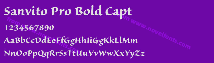 Sanvito Pro Bold CaptPreview Sanvito Pro Bold CaptPreview