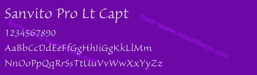 Sanvito Pro Lt CaptPreview Sanvito Pro Lt CaptPreview