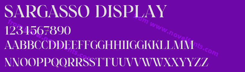 Sargasso DisplayPreview Sargasso DisplayPreview