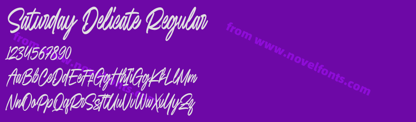 Saturday Delicate RegularPreview Saturday Delicate RegularPreview