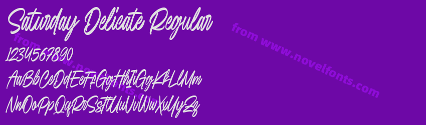 Saturday Delicate RegularPreview Saturday Delicate RegularPreview