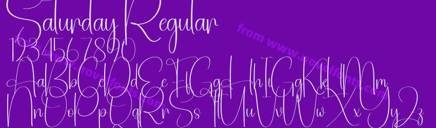 Saturday RegularPreview Saturday RegularPreview