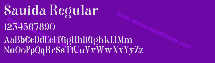 Sauida RegularPreview Sauida RegularPreview