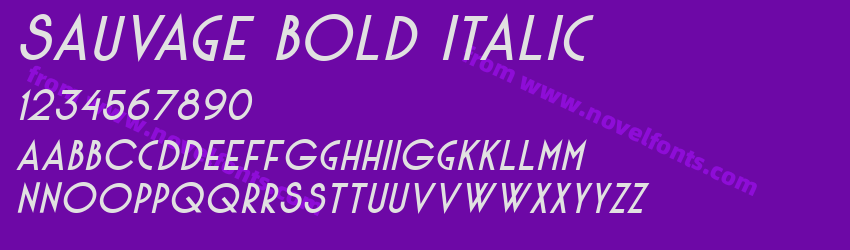 Sauvage Bold ItalicPreview Sauvage Bold ItalicPreview