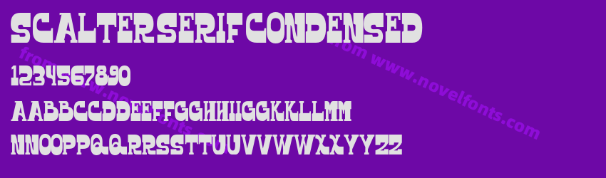 Scalter Serif CondensedPreview Scalter Serif CondensedPreview