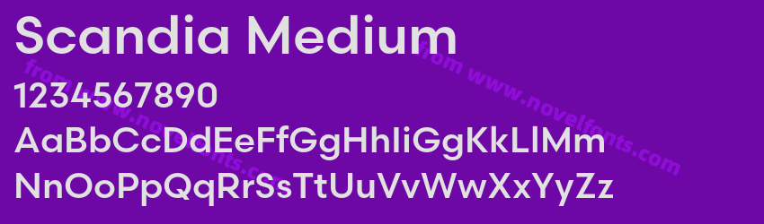 Scandia MediumPreview Scandia MediumPreview