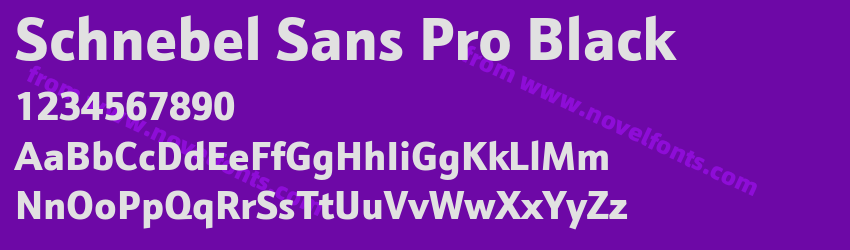 Schnebel Sans Pro BlackPreview Schnebel Sans Pro BlackPreview