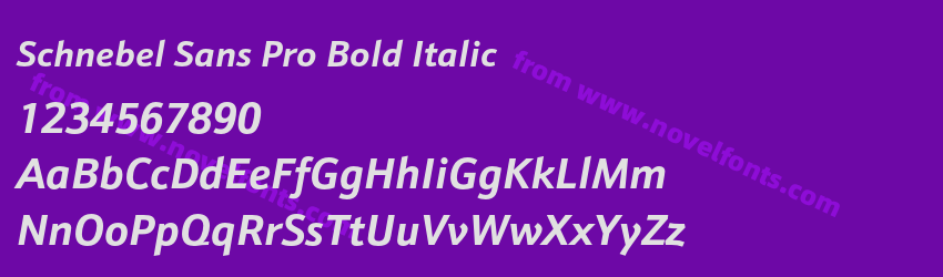 Schnebel Sans Pro Bold ItalicPreview Schnebel Sans Pro Bold ItalicPreview