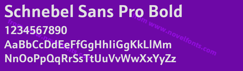 Schnebel Sans Pro BoldPreview Schnebel Sans Pro BoldPreview