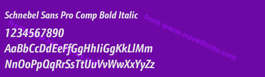 Schnebel Sans Pro Comp Bold ItalicPreview Schnebel Sans Pro Comp Bold ItalicPreview