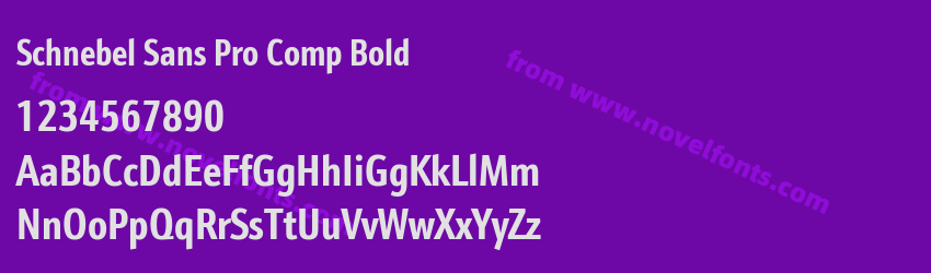 Schnebel Sans Pro Comp BoldPreview Schnebel Sans Pro Comp BoldPreview