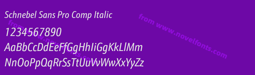 Schnebel Sans Pro Comp ItalicPreview Schnebel Sans Pro Comp ItalicPreview