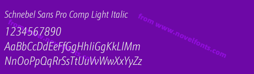 Schnebel Sans Pro Comp Light ItalicPreview Schnebel Sans Pro Comp Light ItalicPreview