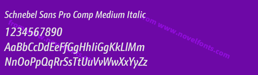 Schnebel Sans Pro Comp Medium ItalicPreview Schnebel Sans Pro Comp Medium ItalicPreview
