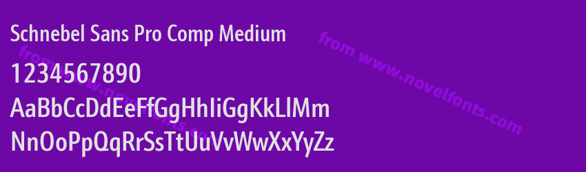 Schnebel Sans Pro Comp MediumPreview Schnebel Sans Pro Comp MediumPreview