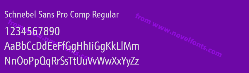 Schnebel Sans Pro Comp RegularPreview Schnebel Sans Pro Comp RegularPreview