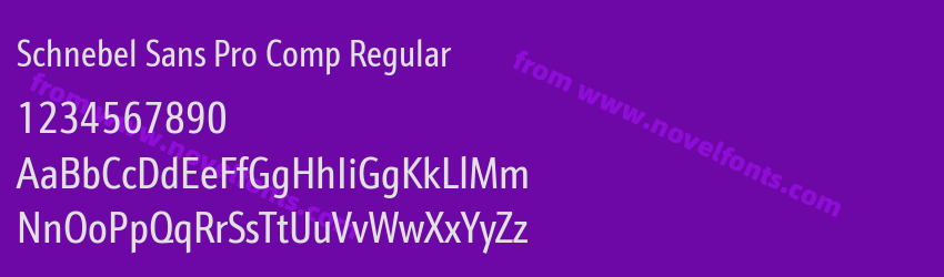 Schnebel Sans Pro Comp RegularPreview Schnebel Sans Pro Comp RegularPreview