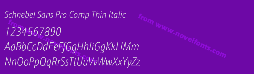 Schnebel Sans Pro Comp Thin ItalicPreview Schnebel Sans Pro Comp Thin ItalicPreview