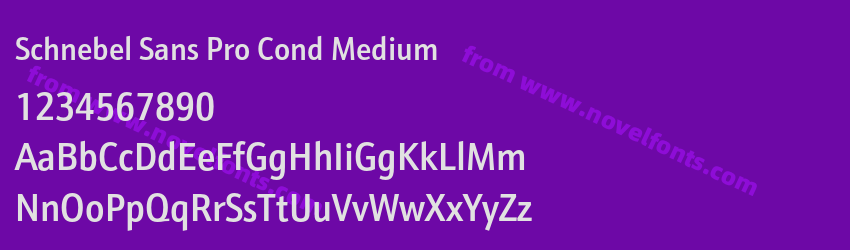 Schnebel Sans Pro Cond MediumPreview Schnebel Sans Pro Cond MediumPreview
