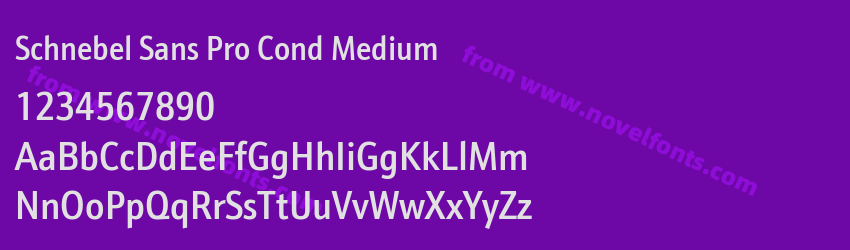 Schnebel Sans Pro Cond MediumPreview Schnebel Sans Pro Cond MediumPreview