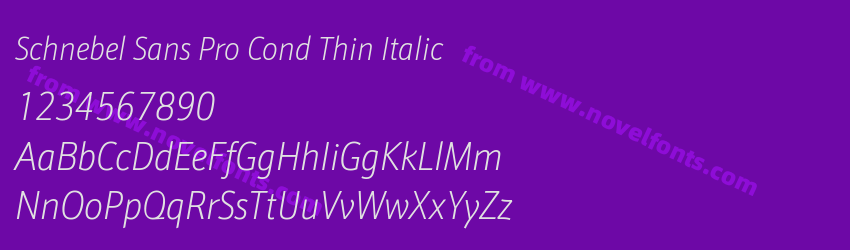 Schnebel Sans Pro Cond Thin ItalicPreview Schnebel Sans Pro Cond Thin ItalicPreview