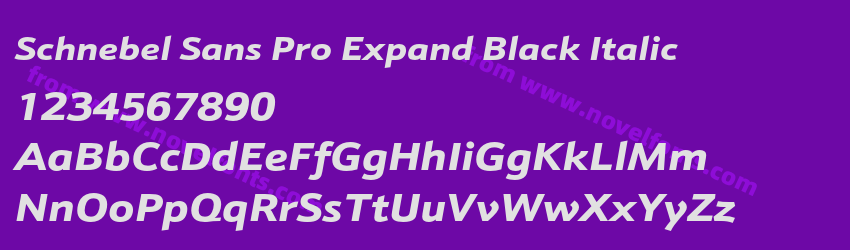 Schnebel Sans Pro Expand Black ItalicPreview Schnebel Sans Pro Expand Black ItalicPreview