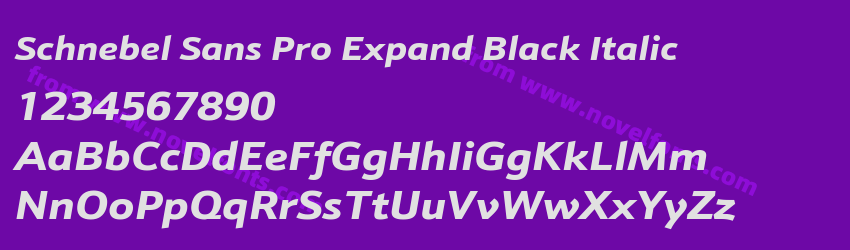Schnebel Sans Pro Expand Black ItalicPreview Schnebel Sans Pro Expand Black ItalicPreview