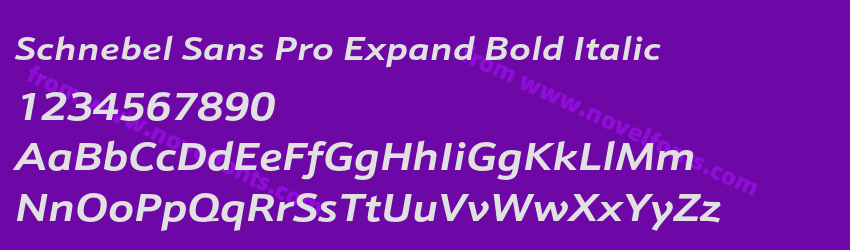 Schnebel Sans Pro Expand Bold ItalicPreview Schnebel Sans Pro Expand Bold ItalicPreview