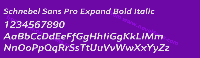 Schnebel Sans Pro Expand Bold ItalicPreview Schnebel Sans Pro Expand Bold ItalicPreview