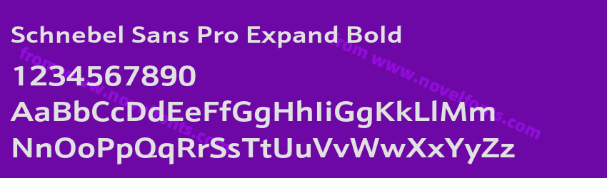 Schnebel Sans Pro Expand BoldPreview Schnebel Sans Pro Expand BoldPreview