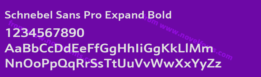 Schnebel Sans Pro Expand BoldPreview Schnebel Sans Pro Expand BoldPreview