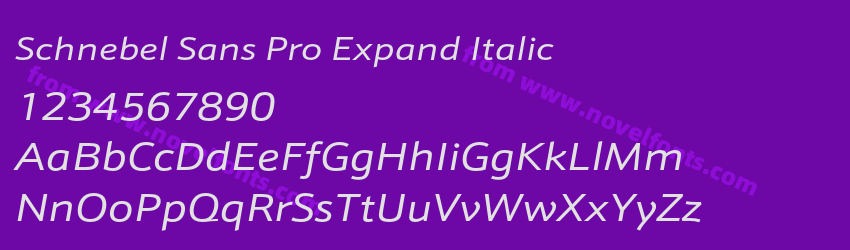 Schnebel Sans Pro Expand ItalicPreview Schnebel Sans Pro Expand ItalicPreview