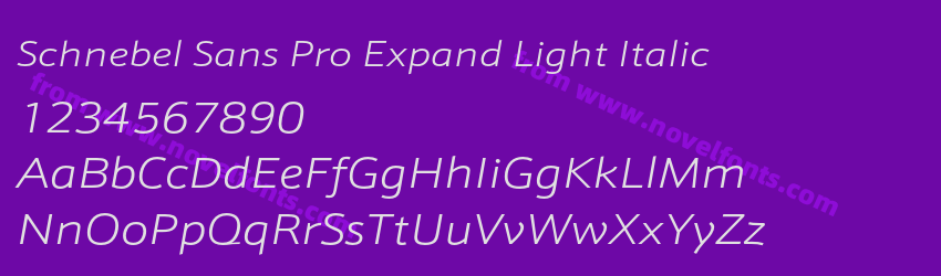 Schnebel Sans Pro Expand Light ItalicPreview Schnebel Sans Pro Expand Light ItalicPreview