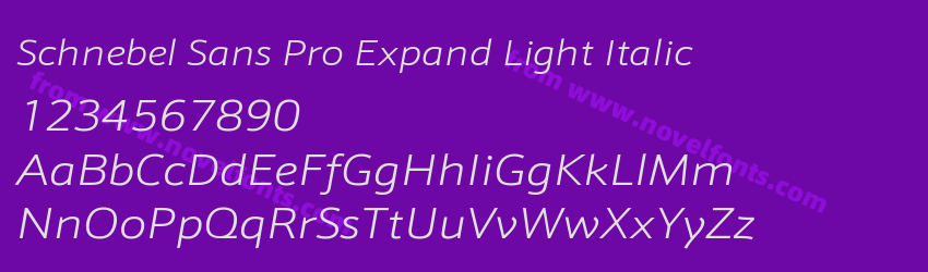 Schnebel Sans Pro Expand Light ItalicPreview Schnebel Sans Pro Expand Light ItalicPreview
