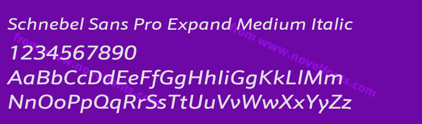 Schnebel Sans Pro Expand Medium ItalicPreview Schnebel Sans Pro Expand Medium ItalicPreview