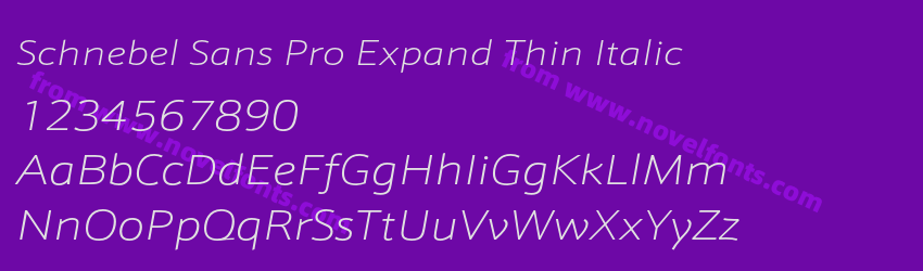 Schnebel Sans Pro Expand Thin ItalicPreview Schnebel Sans Pro Expand Thin ItalicPreview