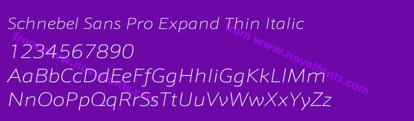 Schnebel Sans Pro Expand Thin ItalicPreview Schnebel Sans Pro Expand Thin ItalicPreview