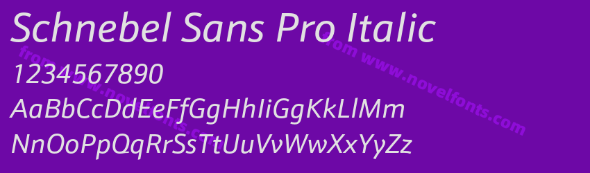 Schnebel Sans Pro ItalicPreview Schnebel Sans Pro ItalicPreview