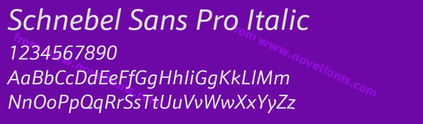 Schnebel Sans Pro ItalicPreview Schnebel Sans Pro ItalicPreview