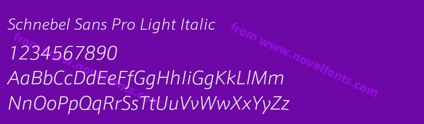 Schnebel Sans Pro Light ItalicPreview Schnebel Sans Pro Light ItalicPreview