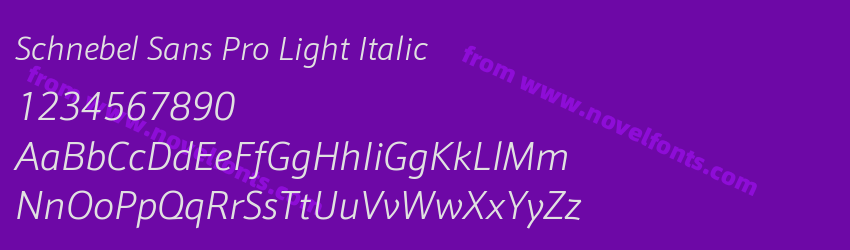 Schnebel Sans Pro Light ItalicPreview Schnebel Sans Pro Light ItalicPreview