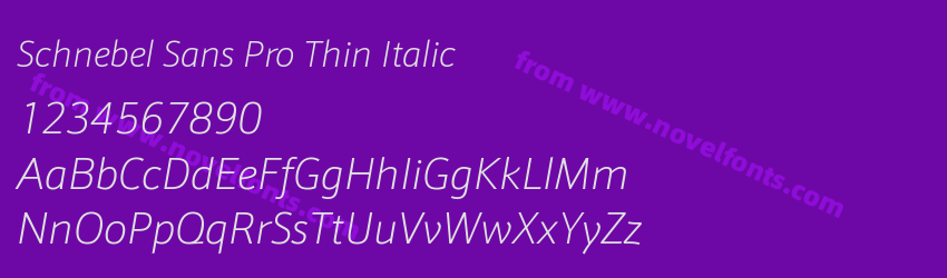 Schnebel Sans Pro Thin ItalicPreview Schnebel Sans Pro Thin ItalicPreview