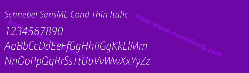 Schnebel SansME Cond Thin ItalicPreview Schnebel SansME Cond Thin ItalicPreview