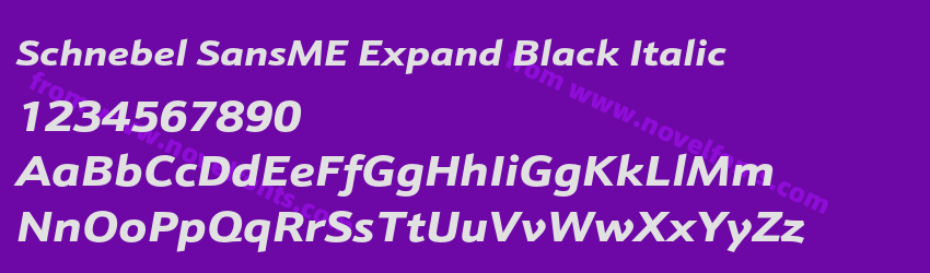 Schnebel SansME Expand Black ItalicPreview Schnebel SansME Expand Black ItalicPreview