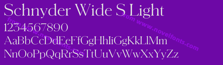 Schnyder Wide S LightPreview Schnyder Wide S LightPreview