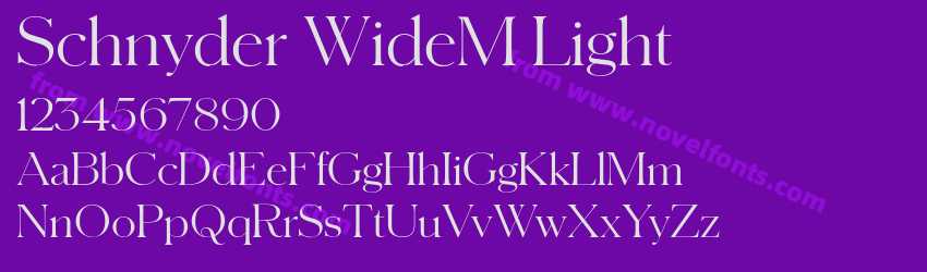Schnyder WideM LightPreview Schnyder WideM LightPreview