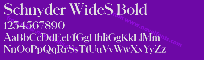 Schnyder WideS BoldPreview Schnyder WideS BoldPreview