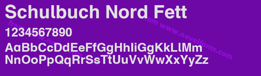 Schulbuch Nord FettPreview Schulbuch Nord FettPreview